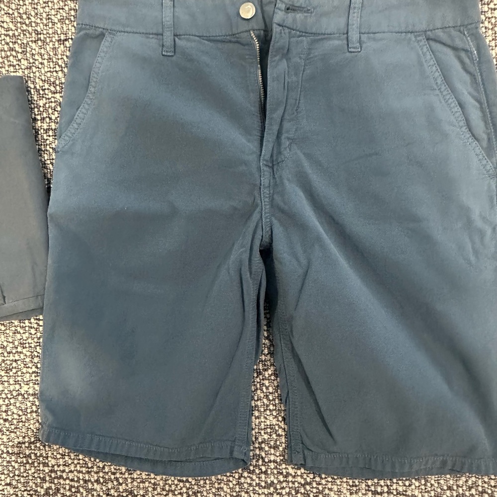 Theory Blue Flat Front Men Shorts